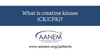 What is creatine kinase [upl. by Evans]