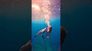 🖤 underwater freediver freediving sunset asmr asmrsounds satisfyingsounds [upl. by Hafeenah]