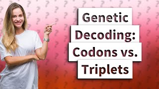 What is the difference between A codon and A triplet [upl. by Monsour]