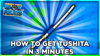 How To Get Tushita Under 3 Minutes  Blox Fruit Tushita Puzzle [upl. by Acina]