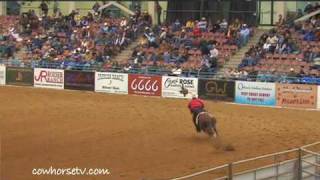 CowHorseTV  What is Reined Cow Horse NRCHA interview [upl. by Gavette]