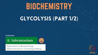 Glycolysis Part 12 [upl. by Susann969]