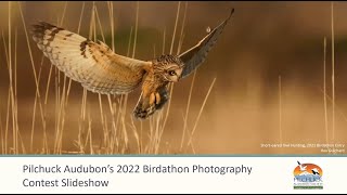 2022 Pilchuck Audubon Birdathon Photography Contest Slideshow [upl. by Ciro]