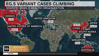 A new COVID19 variant pushes up cases in the US [upl. by Llerrud]