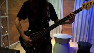 IEAIAIO  System of a Down  bassbaixo cover [upl. by Yzmar]