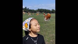 China is vast My family traveled more than 600 kilometers by car for a vacation on the grasslands [upl. by Doe]