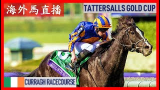 【海外馬直播】Tattersalls Gold Cup 達德素金盃 Irish 1000 Guineas 愛爾蘭一千堅尼 Curragh Racecourse 卻拉馬場 Ireland 愛爾蘭 [upl. by Sukul]