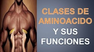 Clases De Aminoacidos  Aminoacidos Musculacion [upl. by Beaston]