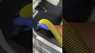 Car Cleaning ASMR Detailing  Steam Cleaner for Car Detailing  How to Professionally Detail a Car [upl. by Sitto406]