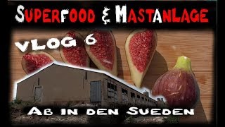 Superfood und Mastanlage Vlog 6 Ab in den Süden [upl. by Noivaz]