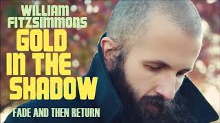 William Fitzsimmons  Gold In The Shadow  Deluxe Full Album Stream [upl. by Dunseath915]