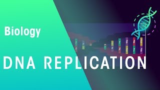 DNA Replication  Genetics  Biology  FuseSchool [upl. by Juline]