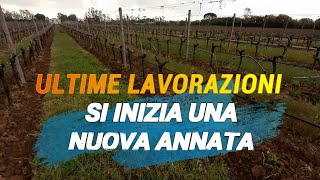 LAVORAZIONI DI FINE INVERNO NEL VIGNETO Inizia una nuova annata [upl. by Tare]