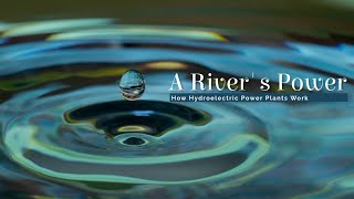 How Hydroelectric Power Plants Work  A Rivers Power [upl. by Pembrook]