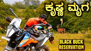 Part 1  ಬೆಂಗಳೂರು Near ಕೃಷ್ಣ ಮೃಗ  Blackbuck Conservation Near Bangalore  Kannada Moto Vlog [upl. by Reibaj440]