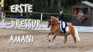 Turnier Dressurhaflinger Amani  Erste SDressur Gladenbach 2014 [upl. by Ainezey]