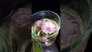 Rose tea tea food [upl. by Sybilla]