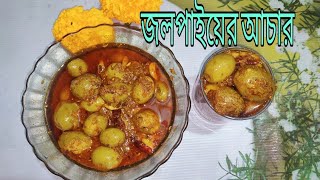 জলপাইয়ের আচারের রেসিপি jolpai acharer recipe Soptosi cooking house [upl. by Nierman5]