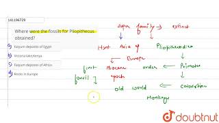 Where were the fossils for Pliopithecus obtained  12  EVOLUTION OF HUMAN  BIOLOGY  ARIHANT [upl. by Jillayne687]