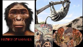 History of mammalogy Work of mammologist  BSC and BS zoology course [upl. by Meerak]