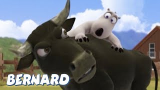 Bernard Bear  Bullfighter AND MORE  30 min Compilation  Cartoons for Children [upl. by Fonda495]