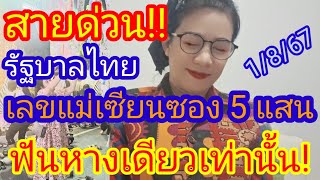 มาด่วนๆๆ เลขแม่เซียนซอง 5 แสน ฟันหางเดียวเท่านั้น quotรัฐบาลไทย 1สค 67 [upl. by Vergne766]