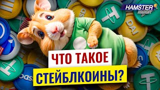 От хаоса к стабильности Что такое стейблкоины и как они работают ⚡️ Hamster Academy [upl. by Marcile]