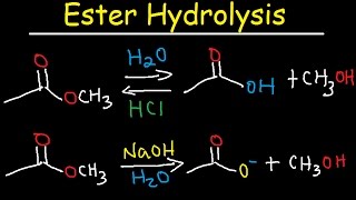 Ester Hydrolysis Reaction Mechanism  Acid Catalyzed amp Base Promoted Organic Chemistry [upl. by Ihtraa921]