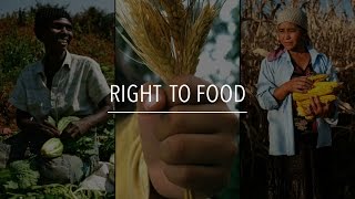 FAO Policy Series Right to Food [upl. by Hardin]