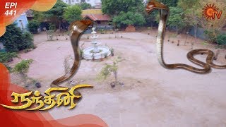 Nandhini  நந்தினி  Episode 441  Sun TV Serial  Super Hit Tamil Serial [upl. by Rotceh157]