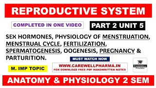 Unit 5  Physiology of Menstruation  Menstrual Cycle  Fertilization  Spermatogenesis  Part 2 [upl. by Zehcnas927]