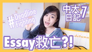 Essay救亡 專業deadline fighter不專業分享｜中大日記7｜CherryVDO [upl. by Ahsimet]