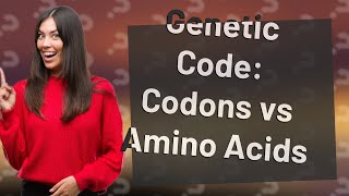 How many codons equals 1 amino acid [upl. by Ambert]