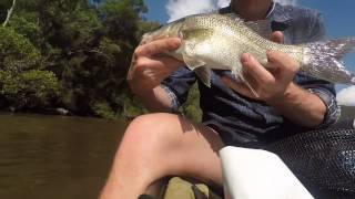 Wisemans Ferry  Australian Bass Fishing [upl. by Daj]