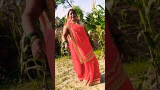 bhojpuri bhole shaadi karke Laila song वायरलsong dance [upl. by Ayita]