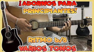 ¡ADORNOS para PRINCIPIANTES  RITMO 68  VARIOS TONOS  CON TABS [upl. by Ahsiatal]