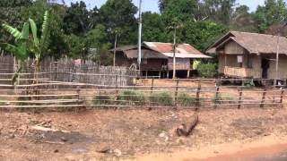 Pakse Saravan Khongxedon by Bus and Pickup Laos [upl. by Ynohtna]