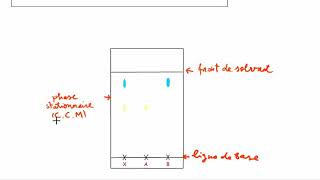 La chromatographie sur couche mince CCM [upl. by Linskey]