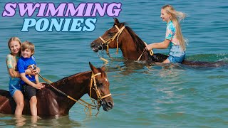 WE WENT SWIMMING WITH HORSES IN DUBAI [upl. by Seigel]