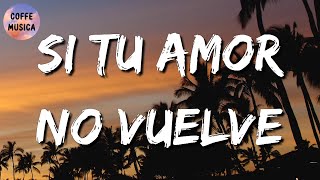 🎵 Carin Leon  Si Tu Amor No Vuelve Letra\Lyrics [upl. by Abigail367]