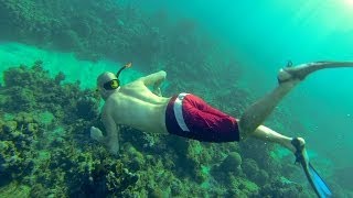 Snorkeling in Montego Bay Jamaica [upl. by Thorma]