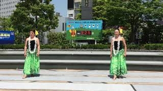 Hawaii Aloha  Song Across Hawaii  Playing For Change Collaboration 4K version [upl. by Pass]