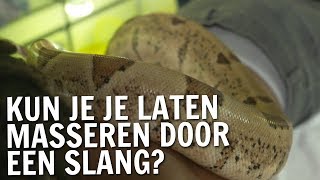 Kun je je laten masseren door een slang  De Buitendienst over beauty [upl. by Yursa]