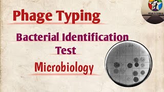 Phage Typing ll Bacterial identification test ll Microbiology [upl. by Goff852]