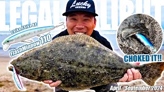 【California Surf Fishing】Flashminnow 110  2024 April to September Highlights【Benjie Kim】 [upl. by Ellehc]