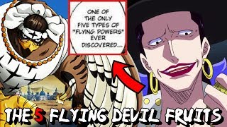 One Piece  The 5 Flying Devil Fruits Plot Hole [upl. by Llenrep]