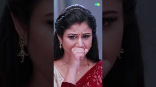 INIYA Serial  Special Promo  Alya Manasa  shorts ytshorts youtubeshorts [upl. by Bondie117]