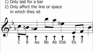 Accidentals amp Semitones halfsteps Explained  Music Theory [upl. by Pritchett]