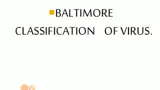 Baltimore classification of virus By Dr Saroj Fagodia [upl. by Yelrebma]