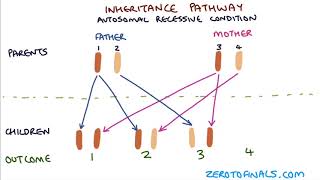 Understanding Autosomal Dominant and Autosomal Recessive Inheritance [upl. by O'Malley]